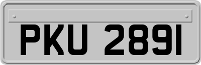 PKU2891