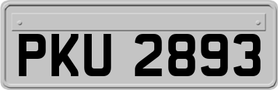 PKU2893