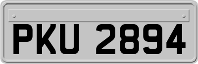 PKU2894