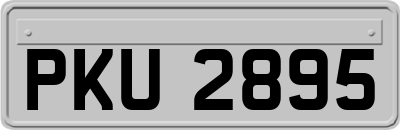 PKU2895