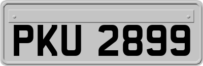 PKU2899