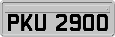 PKU2900