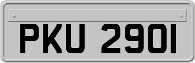 PKU2901