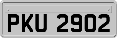 PKU2902