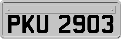 PKU2903