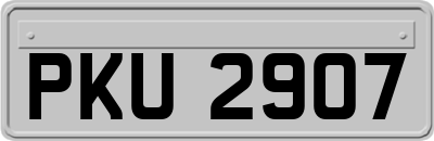 PKU2907