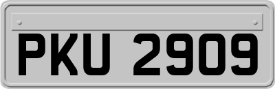 PKU2909