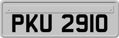 PKU2910