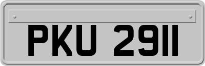 PKU2911
