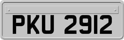 PKU2912