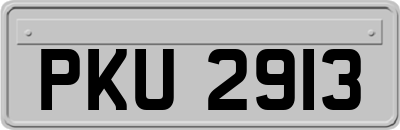 PKU2913