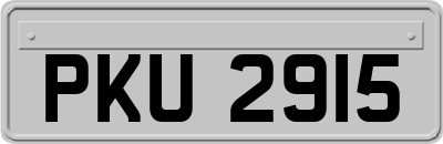 PKU2915