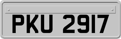 PKU2917