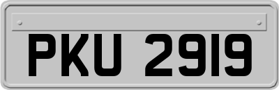 PKU2919