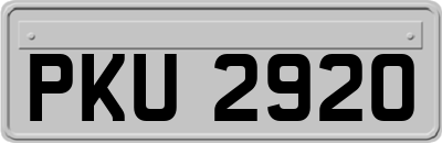 PKU2920