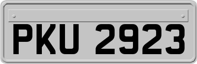 PKU2923