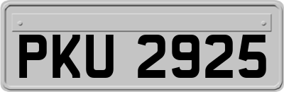 PKU2925