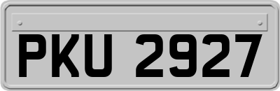 PKU2927