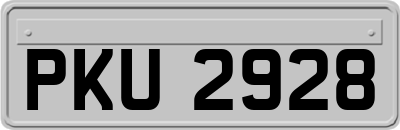PKU2928