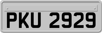PKU2929