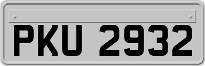 PKU2932