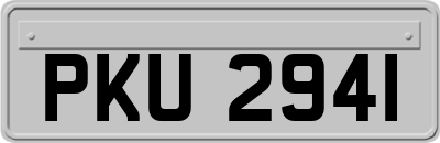 PKU2941