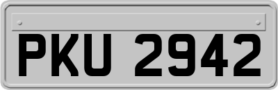 PKU2942