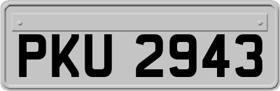 PKU2943