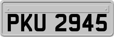 PKU2945
