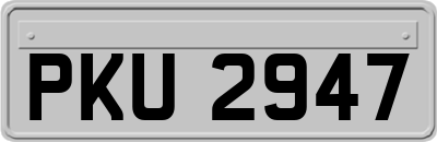 PKU2947