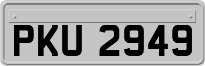 PKU2949