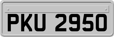 PKU2950