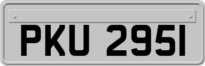 PKU2951