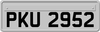 PKU2952