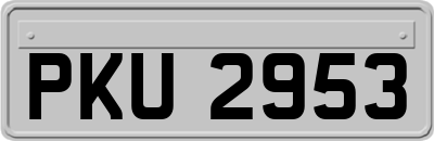 PKU2953