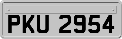 PKU2954