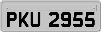 PKU2955