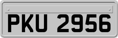 PKU2956