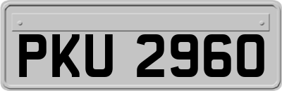 PKU2960