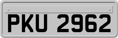 PKU2962