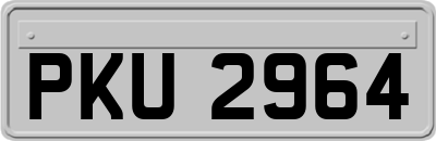 PKU2964