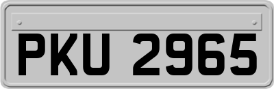 PKU2965