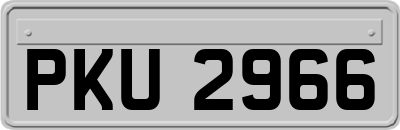 PKU2966