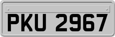 PKU2967