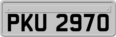 PKU2970