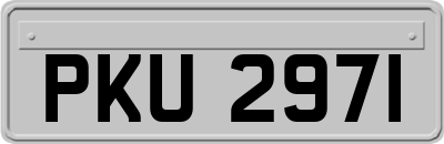 PKU2971