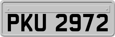 PKU2972