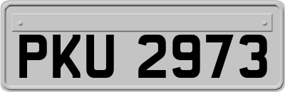 PKU2973