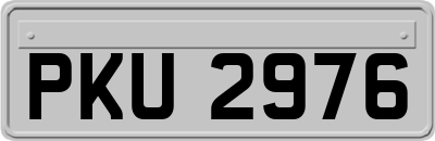 PKU2976