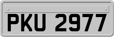 PKU2977